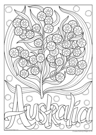 Australia National Flower Colouring Page