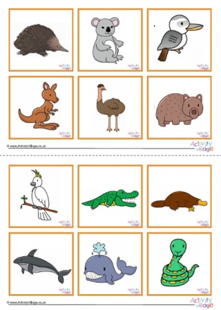 Australian Animal Game Cards