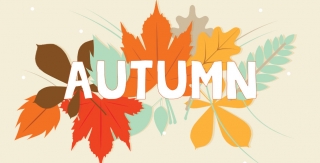 Summer Learning Hub Week 6 - Autumn!