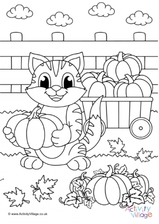 Cat Colouring Pages