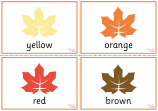 Autumn Colour Words Posters