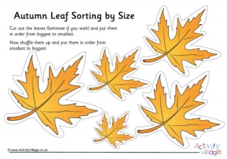 Autumn Leaf Size Sorting