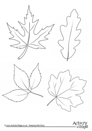 Autumn Colouring Pages