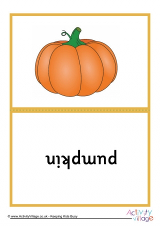 Autumn Picture Flash Cards - Double Sided