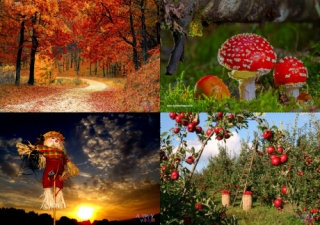 Autumn Scene Posters