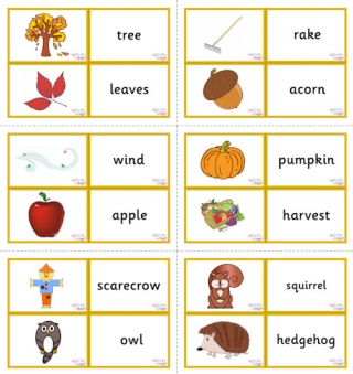 Autumn Vocabulary Matching Cards