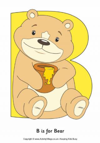 B is for Bear Poster