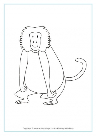 Baboon Colouring Page