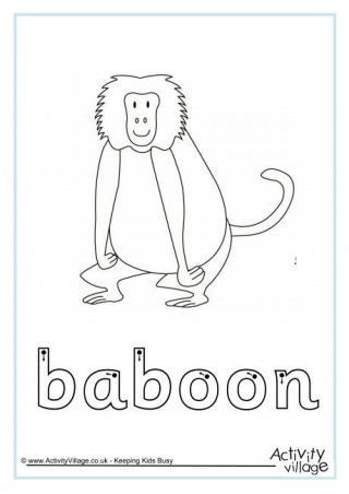 Baboon Finger Tracing