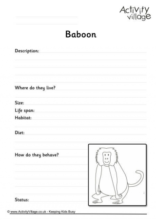 Baboon Worksheet
