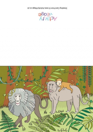 Baboons Scene Card