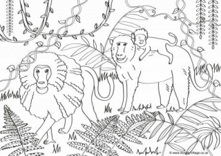 Baboons Scene Colouring Page