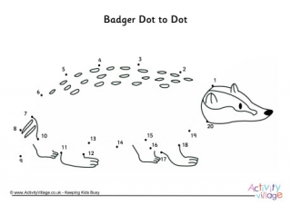 Badger Dot To Dot
