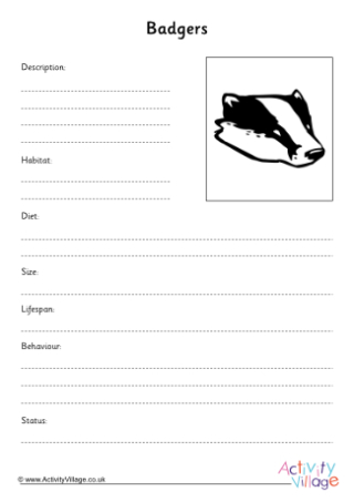 Badger Fact Finding Worksheet