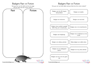 Badger Fact vs. Fiction