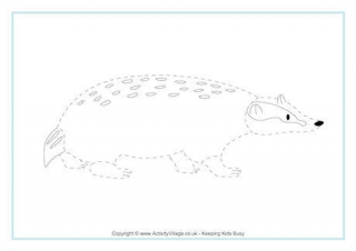 Badger Tracing Page