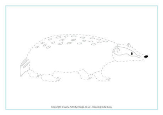 Badger Tracing Page