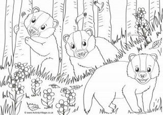 Badgers Scene Colouring Page