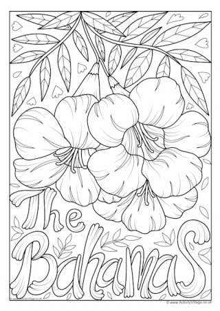 Bahamas National Flower Colouring Page