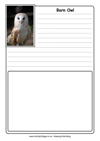 Barn Owl Notebooking Page