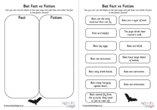 Bat Fact vs Fiction