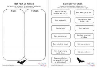 Bat Fact Versus Fiction