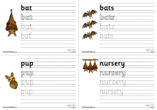 Bat Life Cycle Handwriting Worksheet