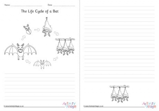 Bat Life Cycle Story Paper