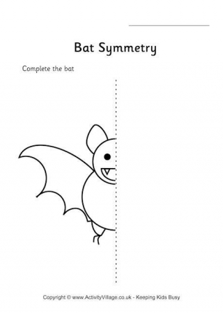 Bat Symmetry Worksheet