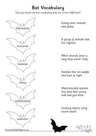 Bat Vocabulary Worksheet