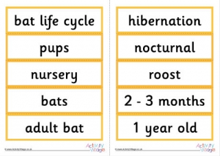 Bats Word Cards