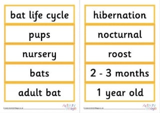 Bats Word Cards