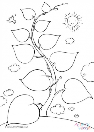 Beanstalk Colouring Page