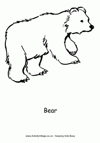 Bear Colouring Page