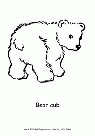 Bear Cub Colouring Page