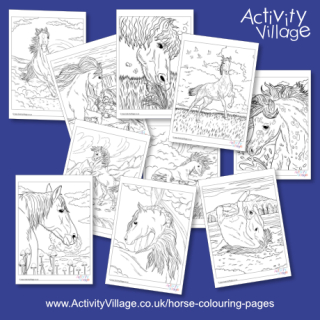 Beautiful Horses Colouring Pages Pack 2