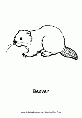 Beaver Colouring Page