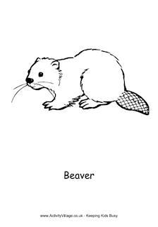 Beaver Colouring Pages