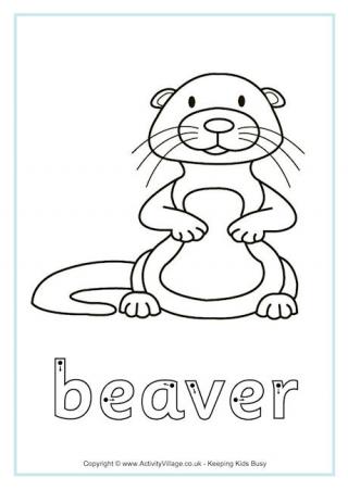 Beaver Finger Tracing
