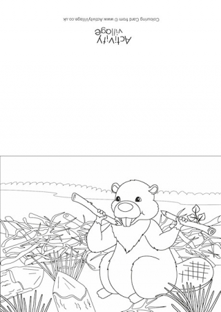 Beaver Scene Colouring Card