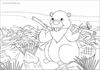 Beaver Scene Colouring Page