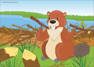 Beaver Scene Poster