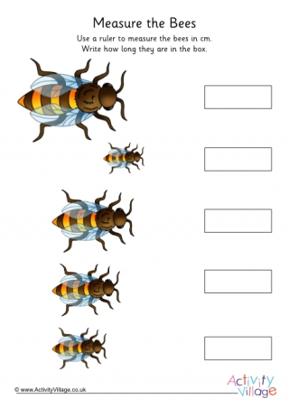 Bee Measuring Worksheet