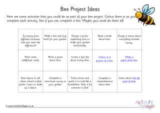 Bee Project Ideas