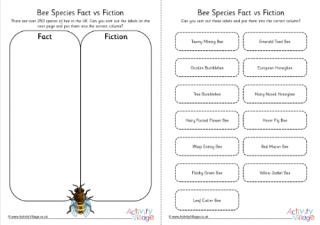 Bee Species Fact vs Fiction