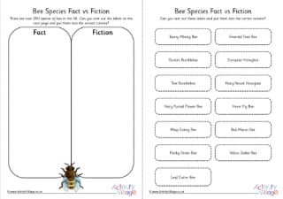 Bee Species Fact vs Fiction