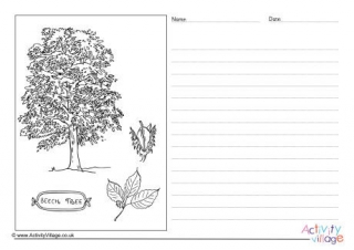Beech Tree Story Paper