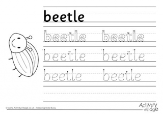 Beetle Handwriting Worksheet