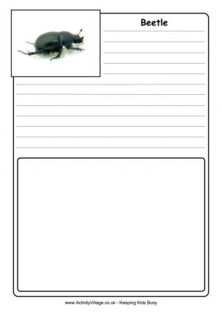 Beetle Notebooking Page