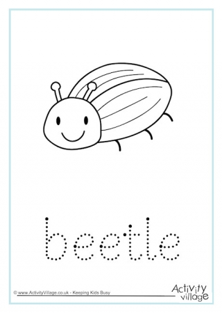Beetle Word Tracing